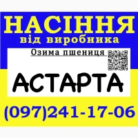 Елітне насіння озимої пшениці Астарта від виробника / 2026