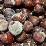 Продам заморожена слива оптом від 5 тонн половинки для начинки і пюре Вінницька обл. Froze