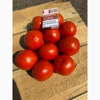 Продам салатний, круглий помідор Мамако