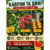 Продам кавун