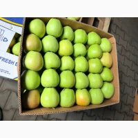 Продам яблука Голден, Чорний принц, Лігольд, Чемпіон