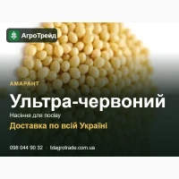 Сортове насіння амаранту Ультра-червоний