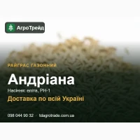 Нвсіння рвйгрвсу гв30нн0г0 Андрівнв для п0сі8у - елітв, РН-1