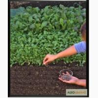 Чернозем Борщаговка Чернозем в мешках Борщаговка Доставка Перегной в мешках