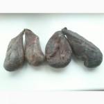 Настойка Бобрової струї, продам