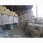 Продаем сено люцерны. В тюках машинными нормами. Опт. От 15 грн / 20 кг