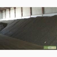 Продам жом сухой