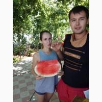 Пр0двм вр6у3 Т0ПГАН