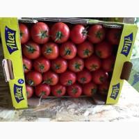 Продам Помідор Турецьки