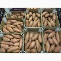 Продам батат