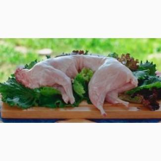 Мясо кроля (в тушках)