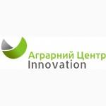 Консалтинг