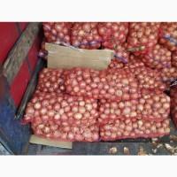 Продам лук 19 грн толоко оптом