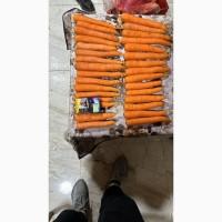 Морква Єгипет