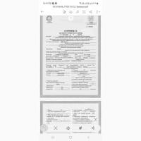 Продам насіння соняшнику Тор( Гранстар)