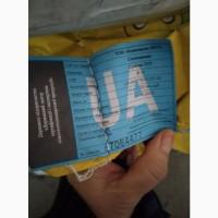 Продам насіння соняшнику Тор( Гранстар)