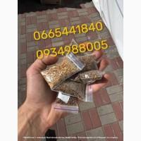 Якісний тютюн Парламент Голд Бонд Берлі Вірджинія Руно Прилуки Кемел Мальбро Гавана Є ОПТ