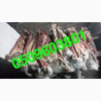 Купуємо сухі шкіри зайця