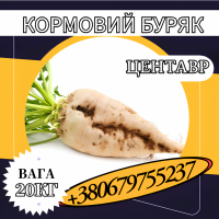 Кормовий буряк Центавр (20 кг)