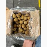Продам киви ЮАР
