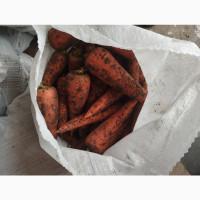 Продам моркву