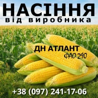 Пропонуємо високоякісне насіння кукурудзи. Насіння від виробника