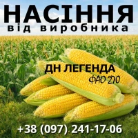 Пропонуємо високоякісне насіння кукурудзи. Насіння від виробника