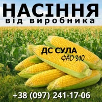 Пропонуємо високоякісне насіння кукурудзи. Насіння від виробника