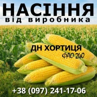 Пропонуємо високоякісне насіння кукурудзи. Насіння від виробника