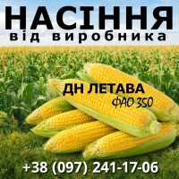 Пропонуємо високоякісне насіння кукурудзи. Насіння від виробника