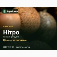 Сорт Нітро (яра вика) - насіння еліта, РН-1 з документами