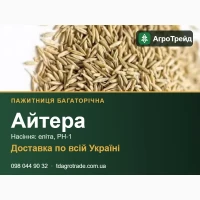 С0рт08е нвсіння пвжитниці 6вгвт0рі4н0ї Айтерв