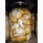 Білі гриби(мариновані) велика кількість