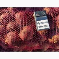 Продаємо буряк, 1 сорт