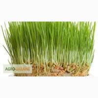 Гербіциди від перевіреного часом виробника - Alfa Smart Agro