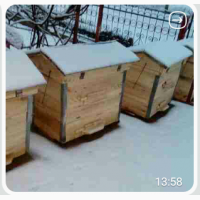 Продам Українські вулики