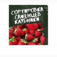 Требуются работники на сезонную работу - сортировка саженцев