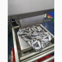 Mackerel