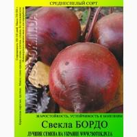 Семена свеклы «Бордо», высокая всхожесть