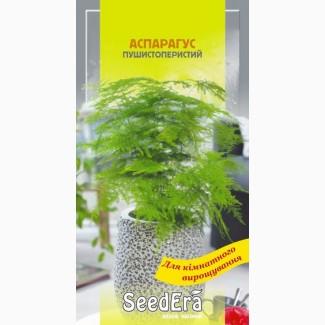 Комнатные цветы Аспарагус декоративный пушистоперистый 0, 1г SeedEra