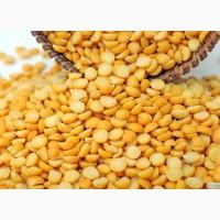 Компанія реалізує горох. Казахстан