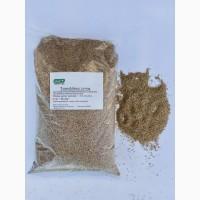 Насіння Тимофіївки найкращої якості (також з ПДВ)