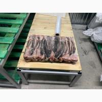 Продам мармуровий кларій (сом) морожений