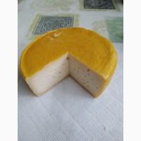 Продам твёрдый козий сыр маасдам