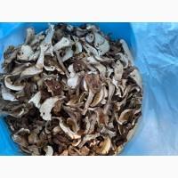 Гриби білі сушені із Закарпаття 2023р