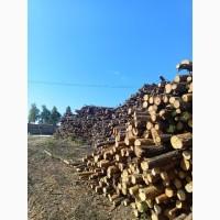 Запрошуємо до співпраці по реалізації паливних пелет