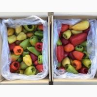 Оптовий продаж перцю замороженого