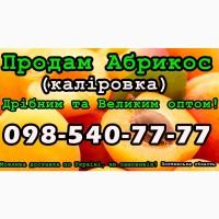 Продаю Абрикос Каліровка, сезон 2024