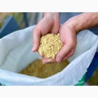 Продам макуху соєву (жмих)
