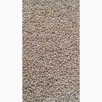 Продам просо біле (Panicum miliaceum)- 3т